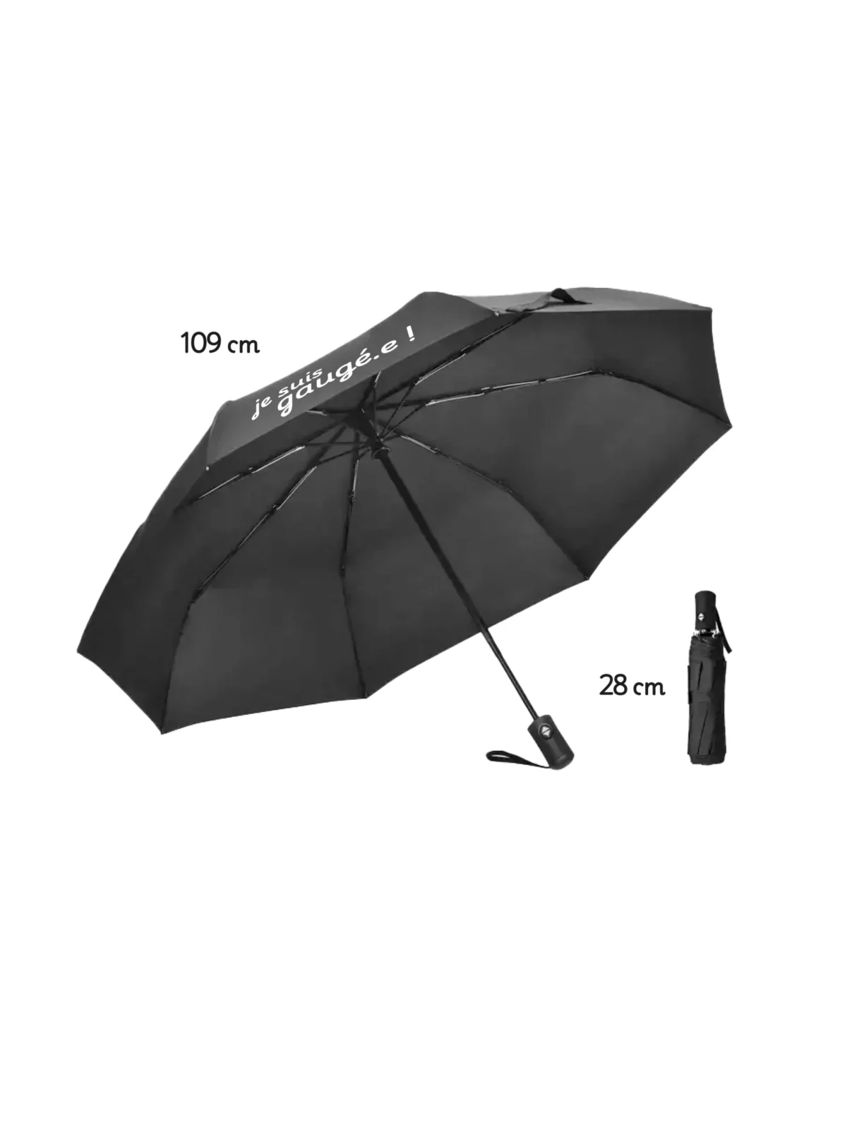 Parapluie-humour-expression-franche-comte
