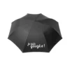 Parapluie-humour-expression-franche-comte
