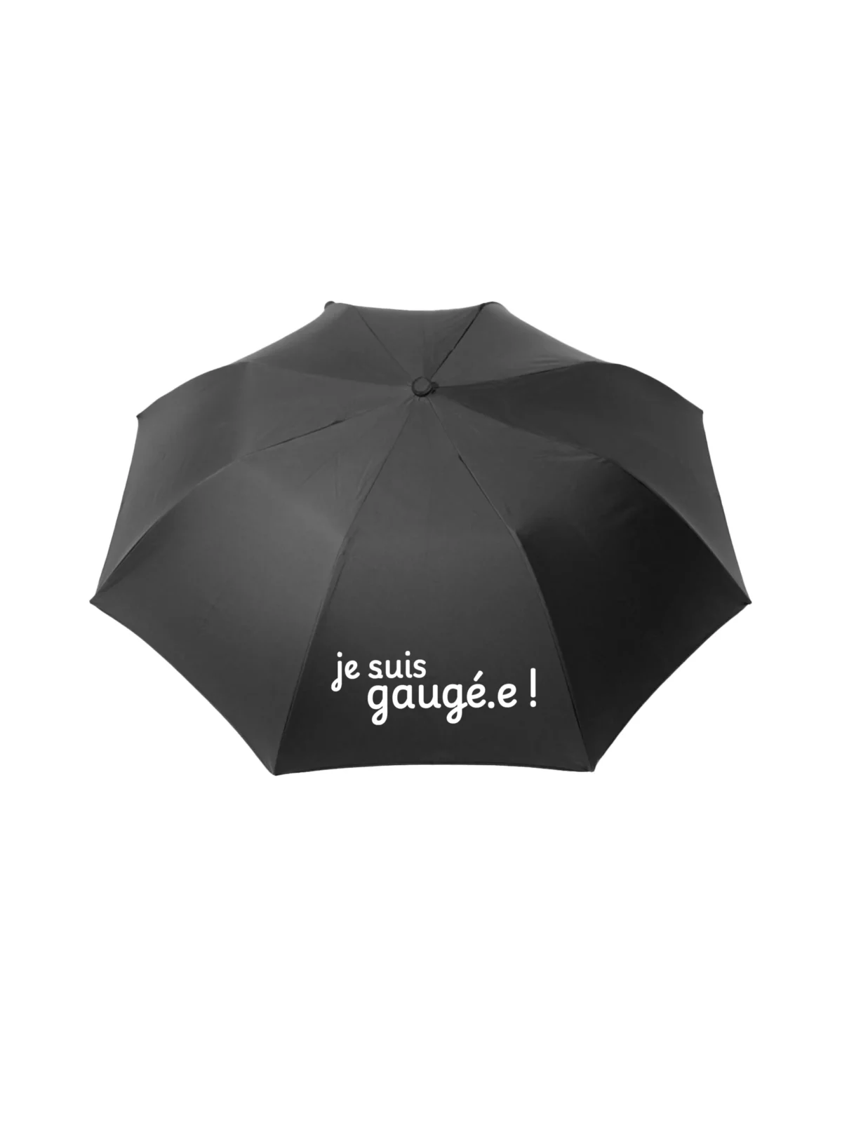 Parapluie-humour-expression-franche-comte