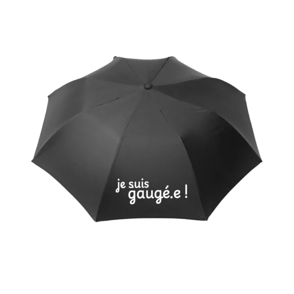 Parapluie-humour-expression-franche-comte